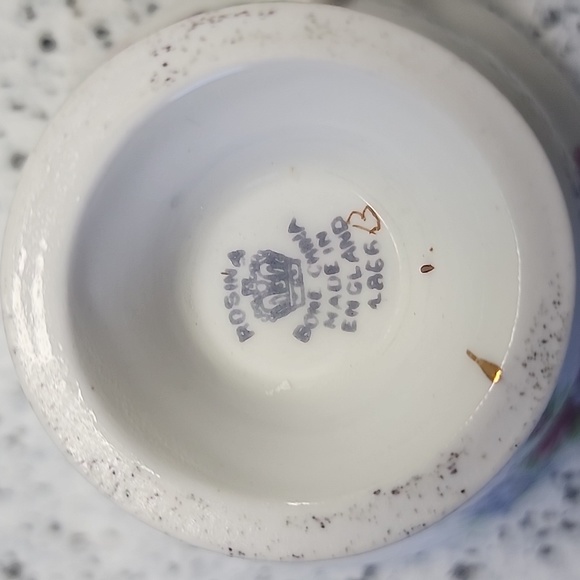 Rosina Bone China Vintage Teacup and Saucer - Picture 6 of 7